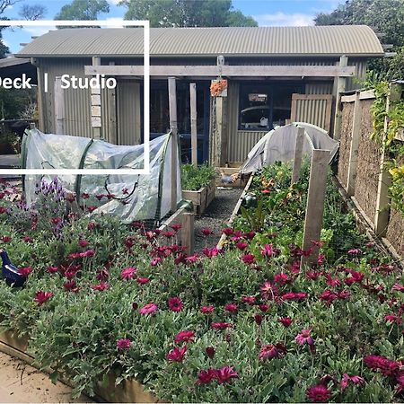 Kaka Ridge Retreat Bush Hideaway Apartamento Tawharanui Exterior foto